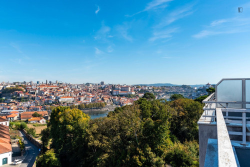 Bright 1 bedroom apartment near Vila Nova de Gaia train station