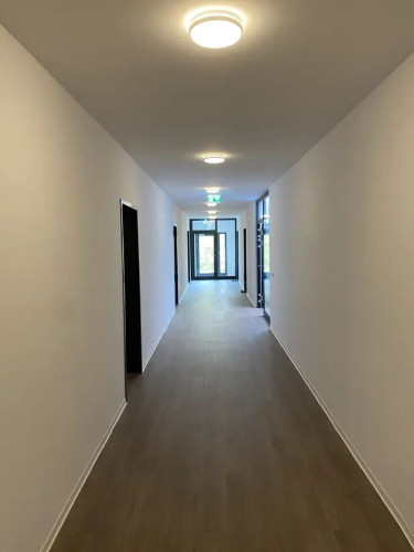 2 room apartment (brand new) in a central location in 53119, Bonn
