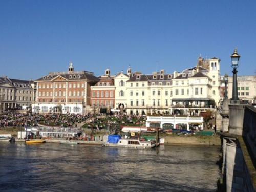 Light DBL in Twick/Richmond, Garden