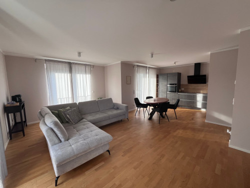 Spacious flat in Hanau - Gallery - 12