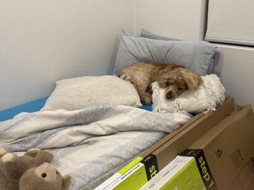 By the Northern Beaches