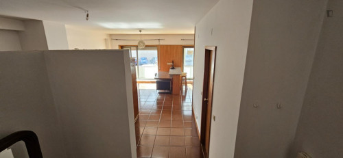 Alluring Studio close to University of Minho - Campus of Gualtar - Gallery - 7