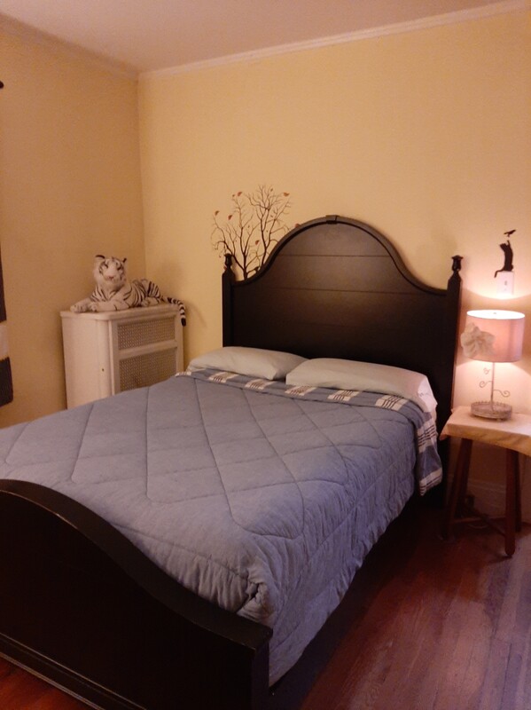 Guest Room(Single Bed) - 1