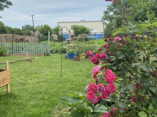 Happy Homestay   - Gallery -  5