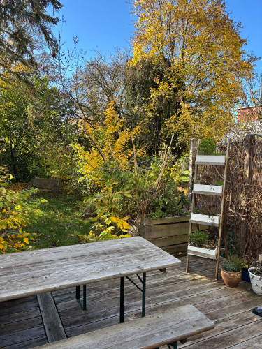 Liebevoll saniertes 5 Zimmer-Haus in Bonn-Friesdorf - Gallery - 12