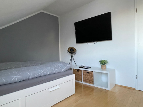 nice and perfect suite - Gallery - 5