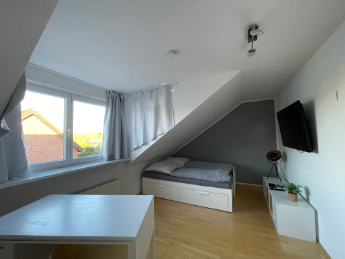 nice and perfect suite - Gallery - 6