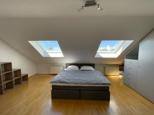 nice and perfect suite