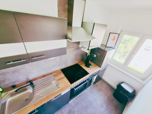 Charming two-room apartment Bad Homburg (near Frankfurt) - Gallery - 9