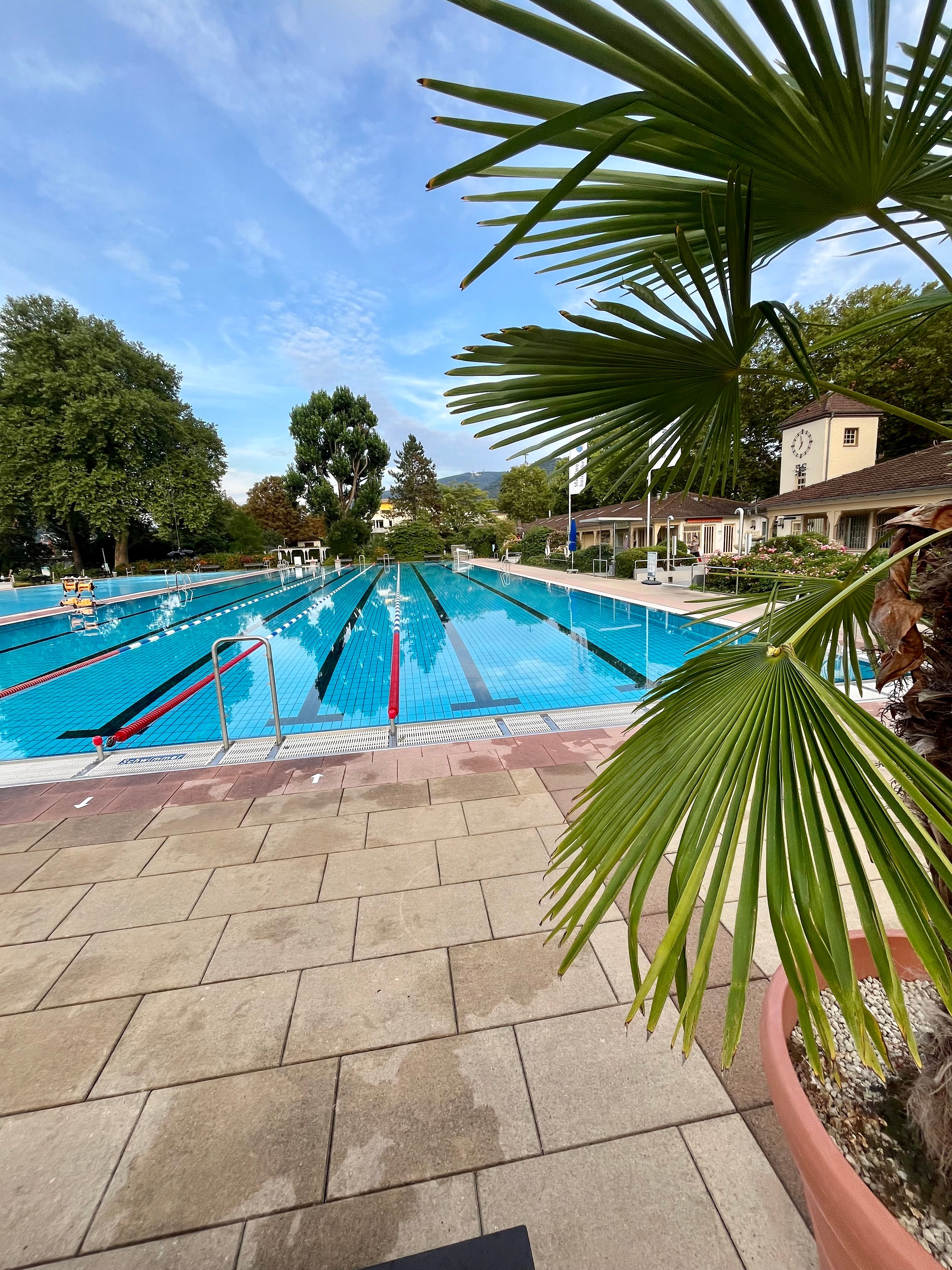  Flexibles Arbeiten & Wohnen In Zentraler Toplage !! Kostenloser Parkplatz  -  Flexibles arbeiten & wohnen in zentraler Toplage !! Kostenloser Parkplatz  - Gallery -  12