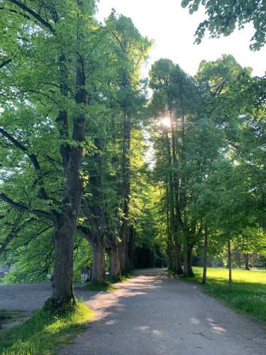 Furnished new luxury apartment in top location of Bad Schachen / Lindau (Lake Constance)