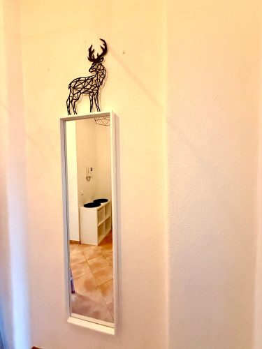 Modern & Renovated | Furnished Apartment with Balcony & Internet Included | Dresden-Pieschen
