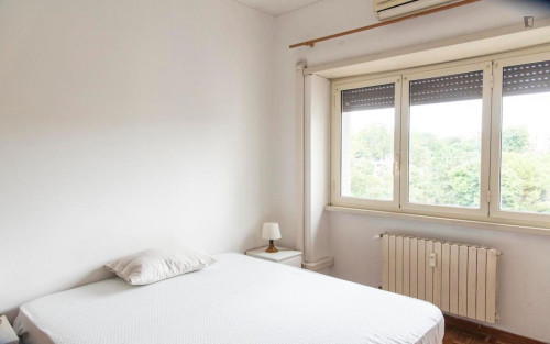 Pleasant single bedroom near the Trastevere train station