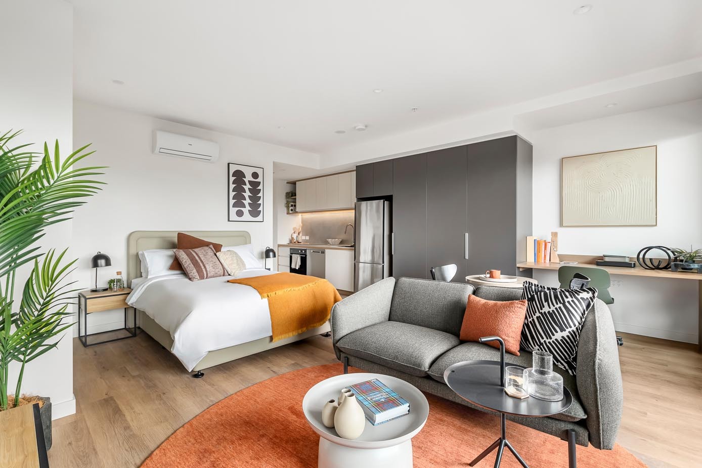  Studio Furnished  -  Caulfield Place  - Gallery -  1