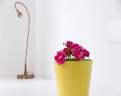 Stanza in Via Giuseppe Bruschetti