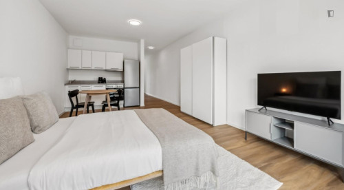 Welcoming studio near Europacity
