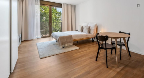 Welcoming studio near Europacity