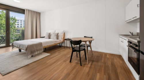 Welcoming studio near Europacity