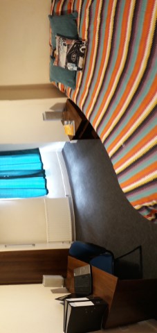 3 Bedrooms - Shared Kitchen, Bathroom & Lounge - 174 Parliament Road - Gallery - 10