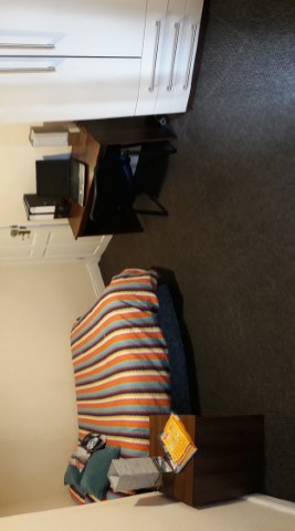 3 Bedrooms - Shared Kitchen, Bathroom & Lounge - 174 Parliament Road - Gallery - 9