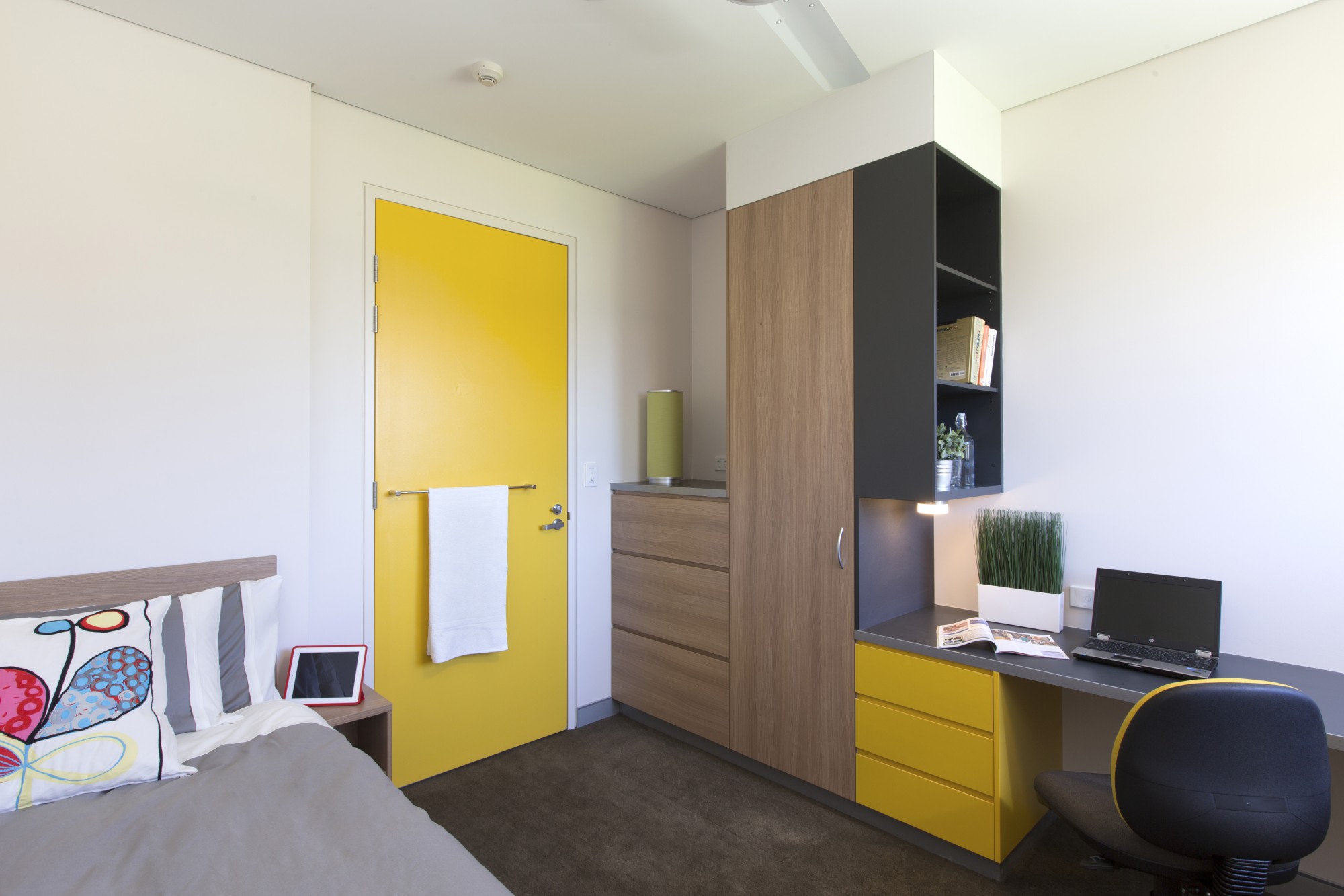  5 Bedroom Apartment  -  Western Sydney University Penrith Village  - Gallery -  1