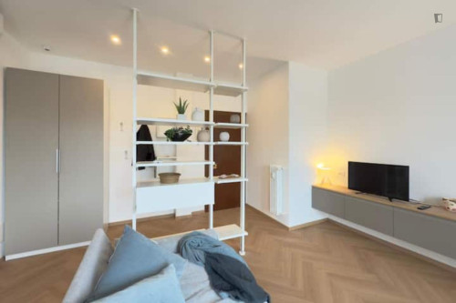 Modern Apartment in Milano