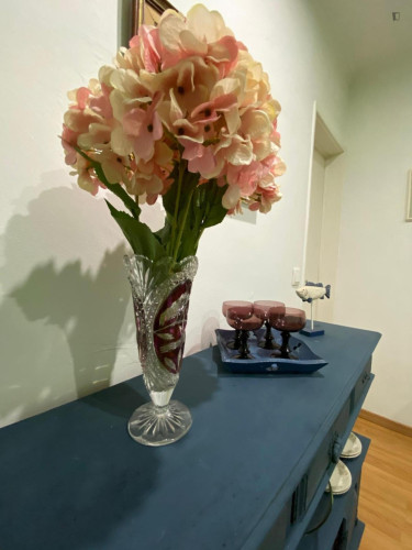 Dreamy Double Bedroom close to ISEG University