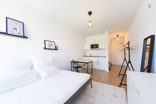 Nice studio in Lichtenberg