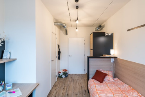 Buzz Upkot  - Gallery -  5