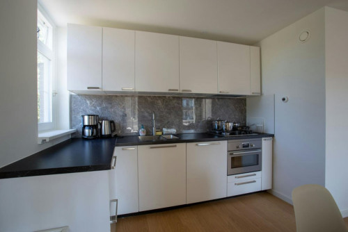 Wethouder Serrurierstraat