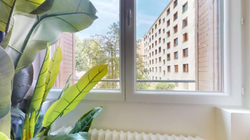 Chambre 3 - Colombes - Barbusse - Gallery - 15