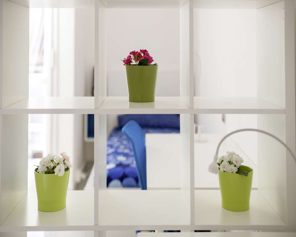  Stanza In Via Giovanni Amendola  -  Stanza in Via Giovanni Amendola  - Gallery -  1