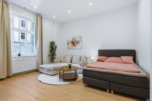 Modern, Fully Renovated Studio Apartment – 41 m², Bright, Stylish and Centrally Located