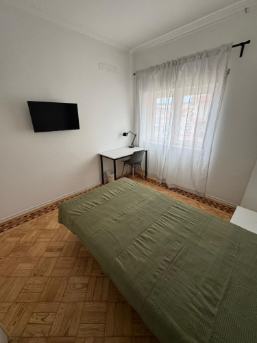 Homely single bedroom in the Norton de Matos neighbourhood
