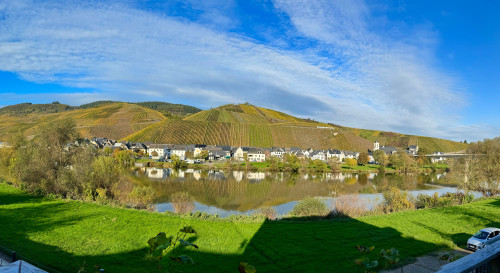 The special Moselhaus-Mosel so close - Gallery - 12