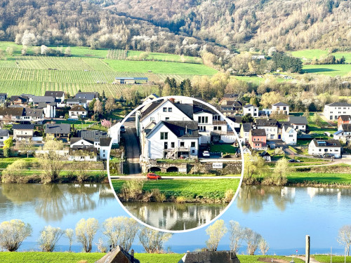 The special Moselhaus-Mosel so close