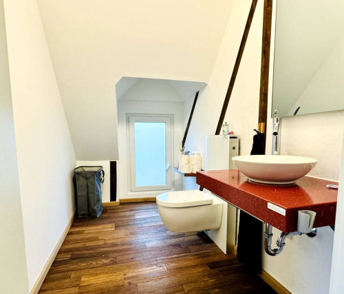 The special Moselhaus-Mosel so close  - Gallery -  5