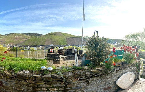 The special Moselhaus-Mosel so close - Gallery - 15
