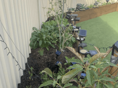 Gold Coast Gem – Private & Clean - Gallery - 5