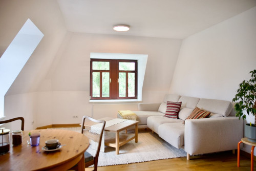 Cozy, spacious studio in Dresden