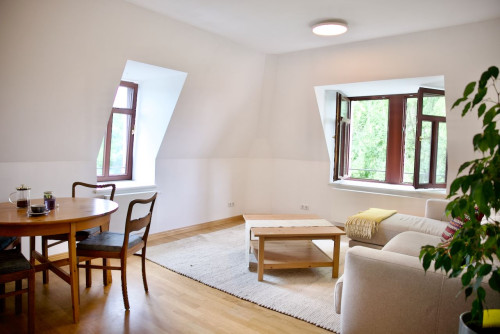 Cozy, spacious studio in Dresden