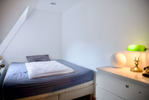 Cozy, spacious studio in Dresden