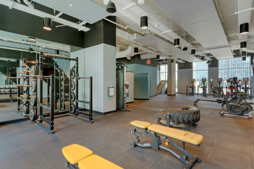 The Connector