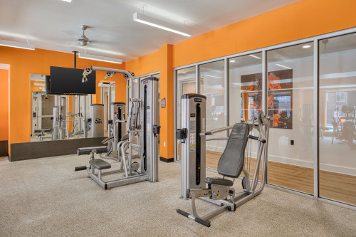 University Walk | Student Housing - Gallery - 16