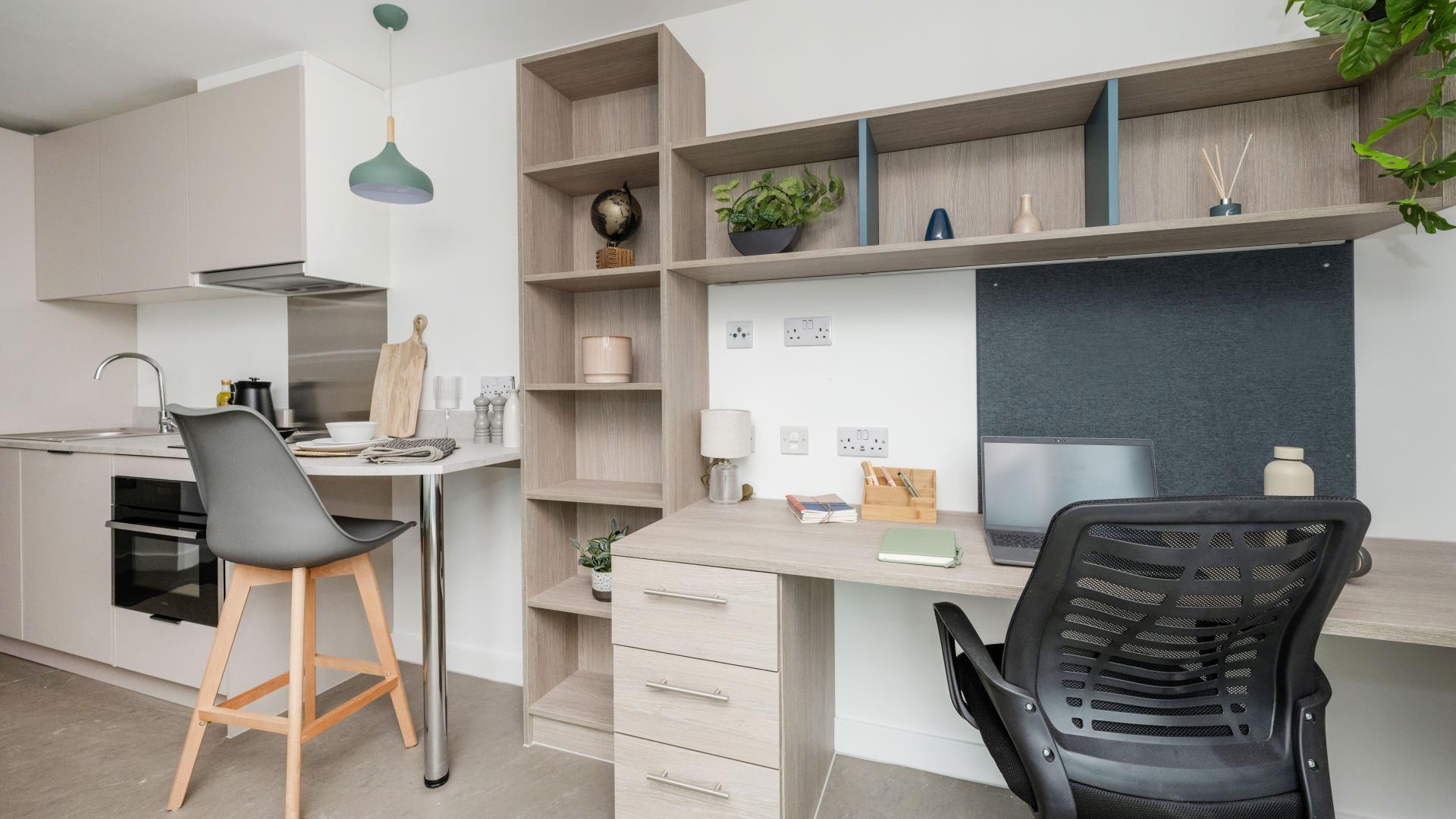  Platinum Plus Studio  -  Timber Yard  - Gallery -  4