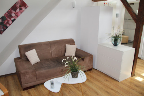 Nice and fantastic Studio (Wismar)