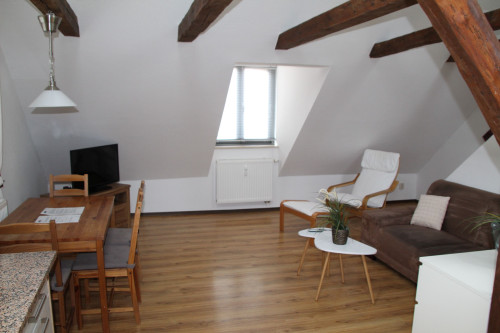 Nice and fantastic Studio (Wismar)