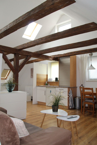 Nice and fantastic Studio (Wismar)