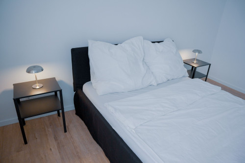 Modern & fully furnished 3-room apartment (Nuremberg)