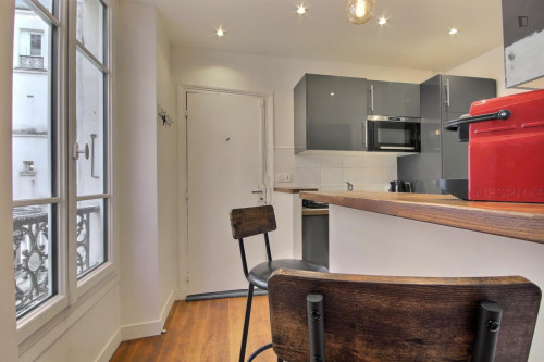 Cool 1-bedroom apartment in Montmartre
